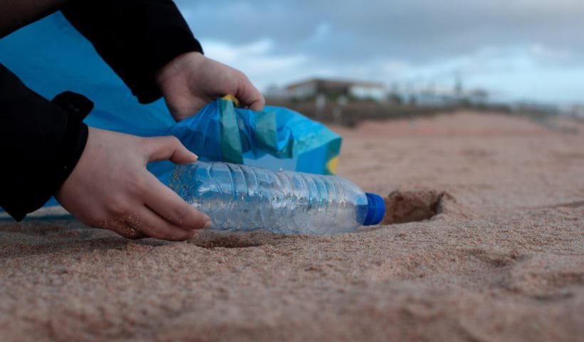 person holding clear plastic bottle
