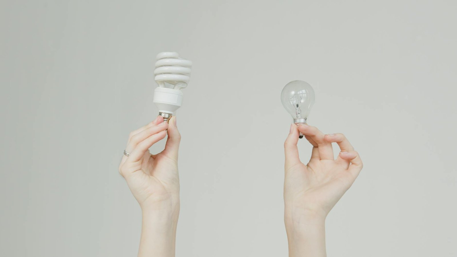 a person holding light bulbs