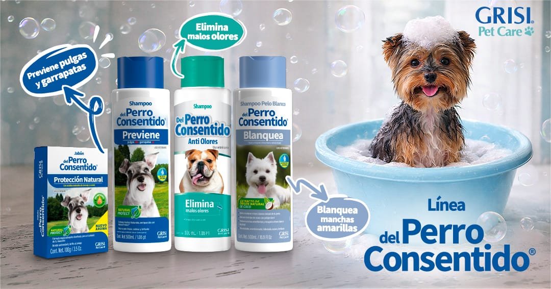 10 Pasos Infalibles para Bañar a tu Perro con Amor y Cuidar su Salud
