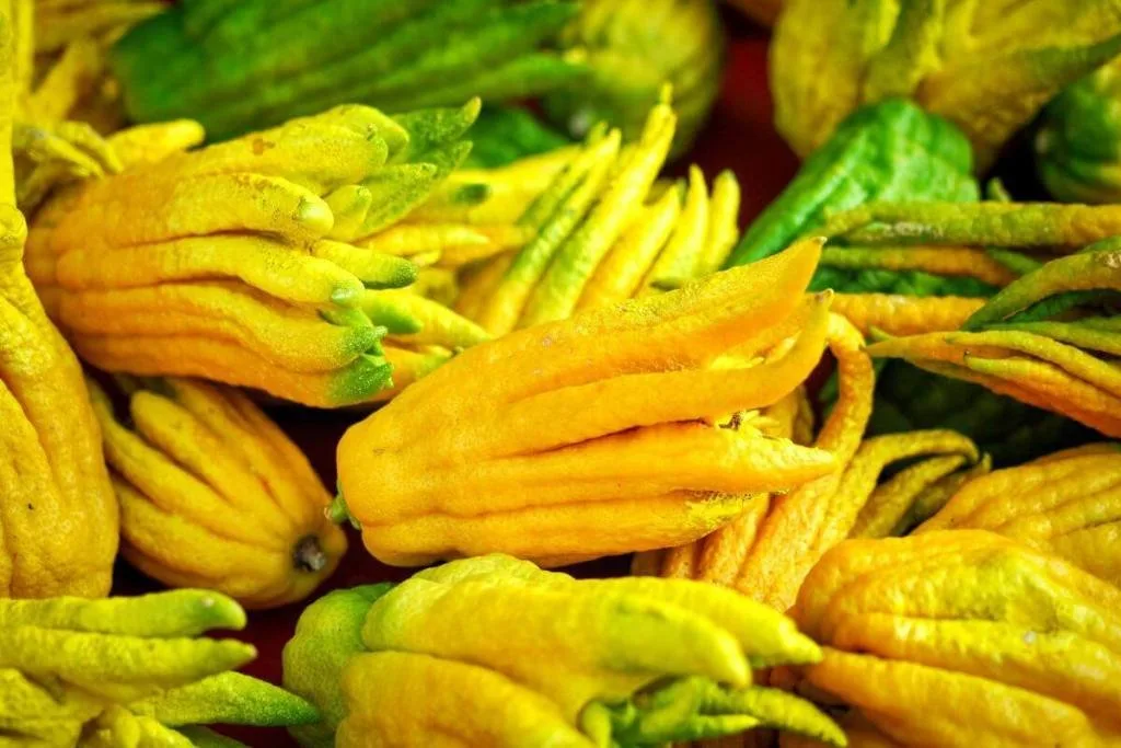 Cortesía